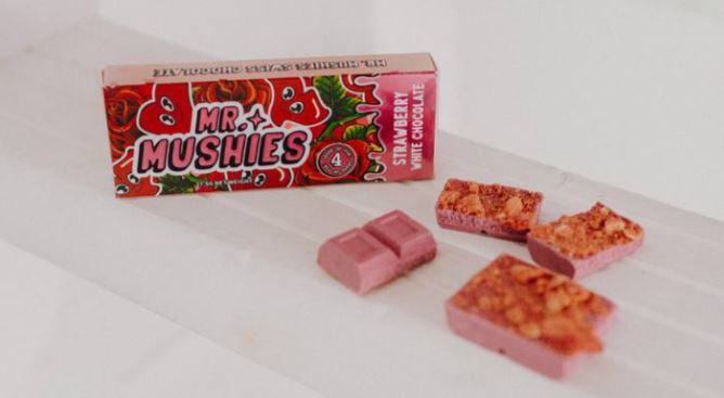mr mushies bars mr mushies bars